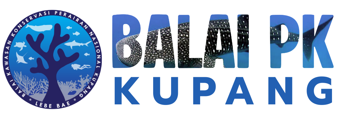 Logo BKKPN Kupang